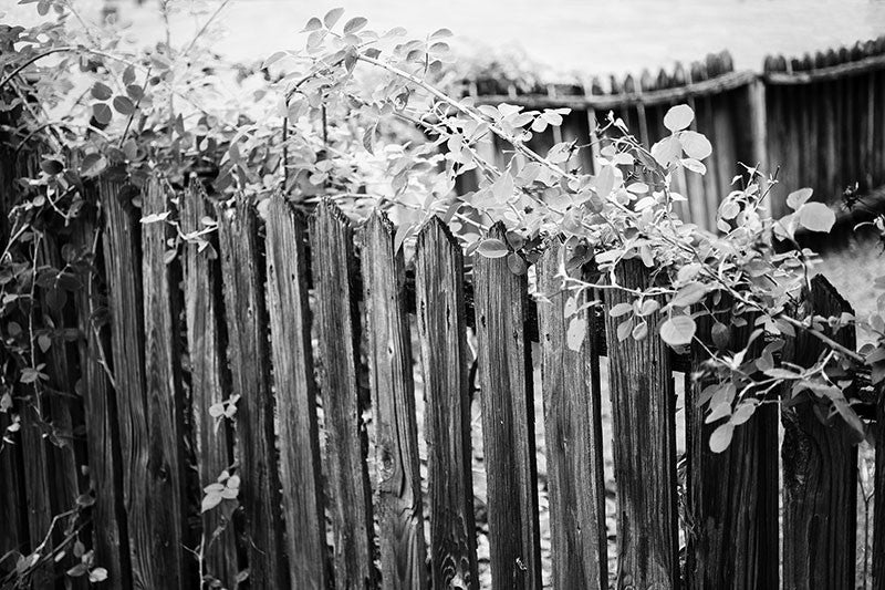 Black and white photograph of a wooden picket garden fence in Birmingham, Alabama.