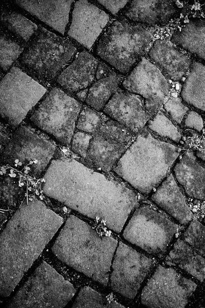 Black and white photograph of a beautiful cobblestone sidewalk near the brewery in in St. Louis, Missouri.