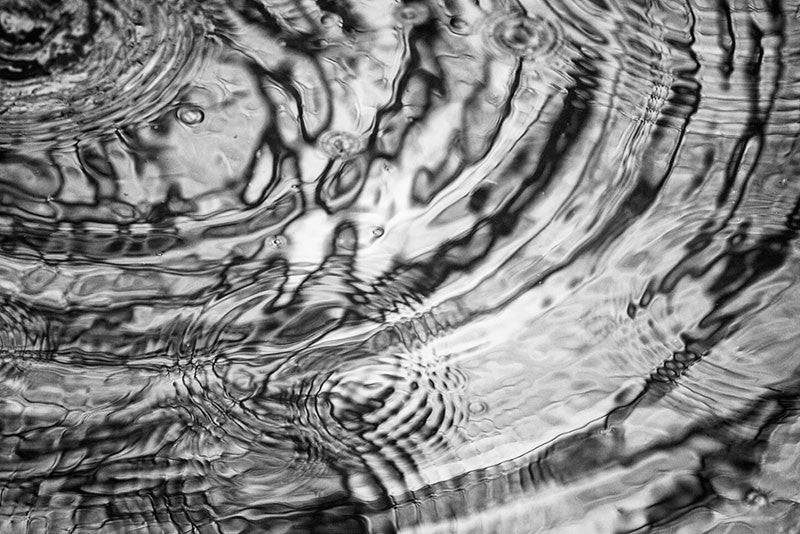 Black and white photograph of raindrop rings in a pool of water.