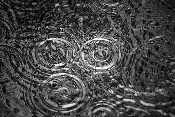 Black and white photograph of raindrop rings in a pool of water, with rings and ripples overlapping each other.