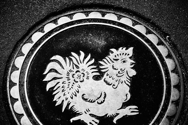 Black and white photograph of a metallic rooster marker embedded in the sidewalk in Philadelphia's Chinatown.