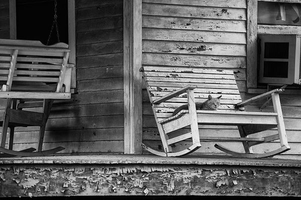 Black and white photograph of a lazy cat lying on a rocking chair on the porch an old house in Lafayette, Louisiana. 