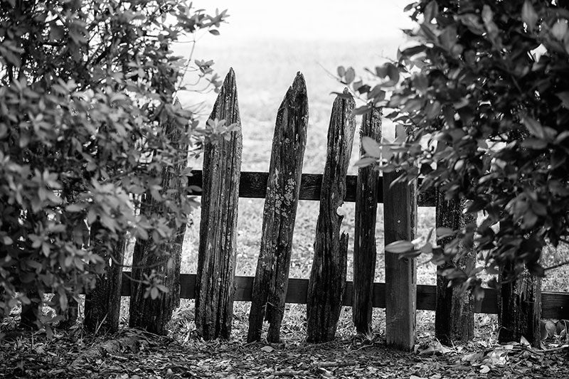 Black and white landscape photograph of a weathered and uneven picket fence in Lafayette, Louisiana.