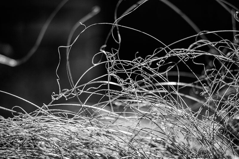 Black and white landscape photograph of tangled strands of grass in winter. 