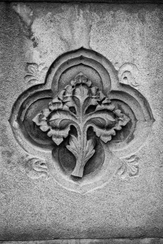 Black and white architectural detail photograph of leaf decoration embedded into a wall in Nashville, Tennessee.