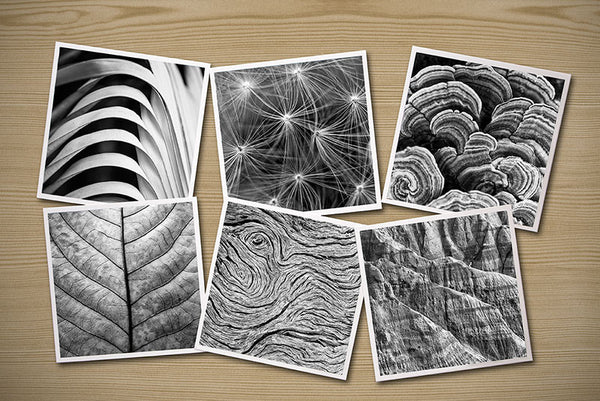 Abstractions from Nature, Set of Six Themed Photographs on Card Stock, PhotoSquares