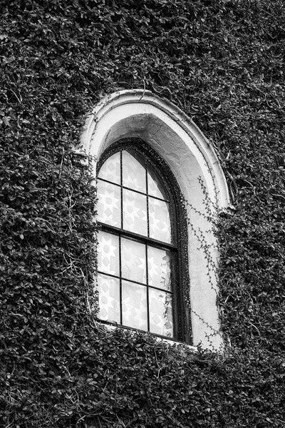 Black and white architectural photograph of a window with a quilt surrounded by ivy-covered walls in Charleston, South Carolina