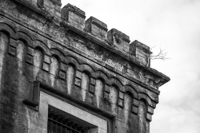 Black and white photograph of a small tree growing from the castle-like roofline of the old Charleston County Jail, built in 1802 and in service until 1939.
