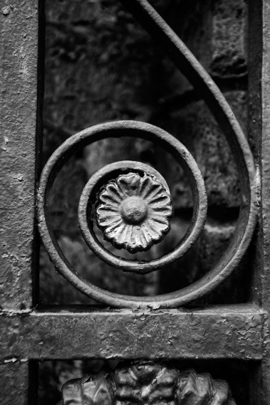 Black and white photograph of an ornamental wrought iron fence in Charleston, with a spiral design that centers on a small iron flower bloom.