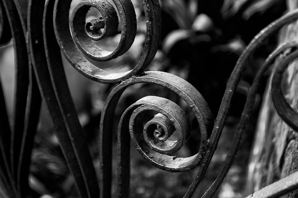 Black and white photograph of two ornamental wrought iron fence scrolls in Charleston.