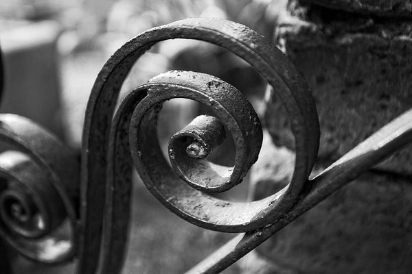 Black and white detail photograph of an antique decorative spiral iron fence scroll in Charleston, South Carolina.