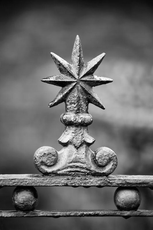 Black and white photograph of an ornamental iron fence with a seven-point star on a rainy morning in Charleston.