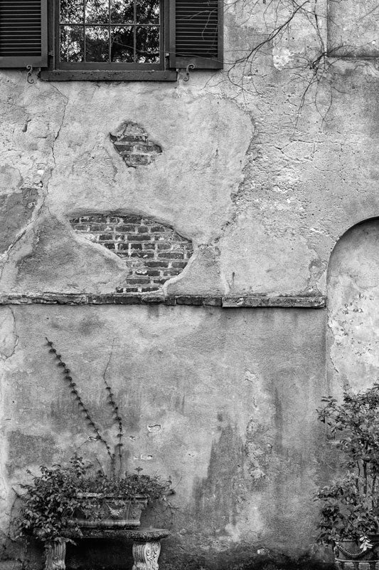 Black and white photograph of a beautifully textured old wall with climbing ivy on State Street in Charleston, South Carolina.