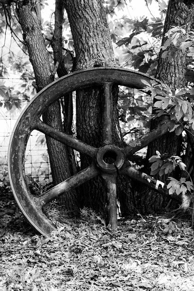 Black and white photograph of a big industrial wheel propped against trees in the rural countryside.