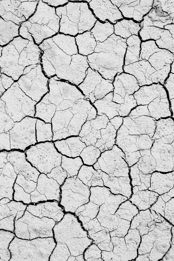Black and white photograph, abstraction composition of cracked lines in the dry earth.