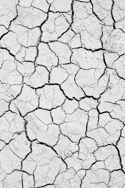 Cracked Earth Composition No. 2 (A0020936)