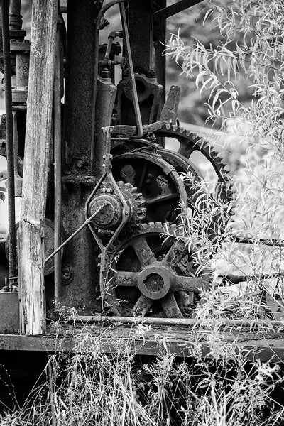 Black and white detail photograph of an abandoned machine with its rusty gears standing in a field among tall weeds.
