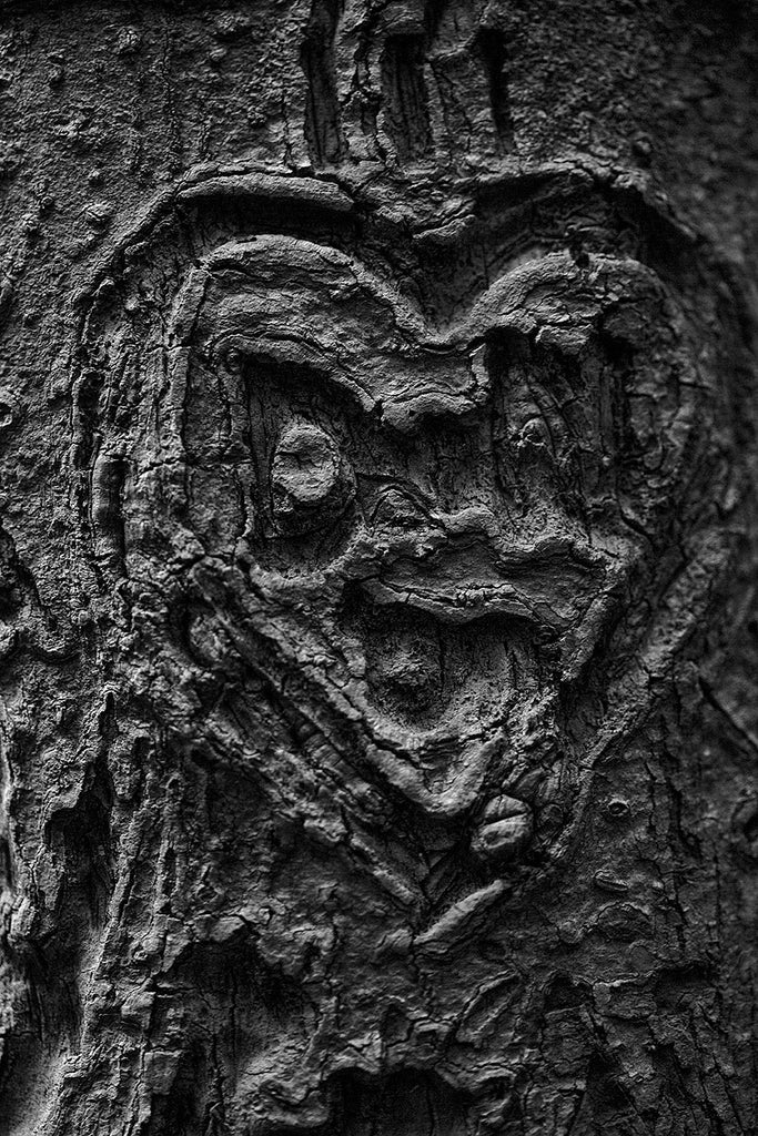 Black and white macro photograph of a heart and initials carved into a tree, which has transformed over time into a sinister-looking heart-shaped face.