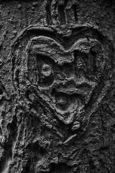 Black and white macro photograph of a heart and initials carved into a tree, which has transformed over time into a sinister-looking heart-shaped face.