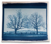 Landscape with Two Barren Trees - Real Handmade Cyanotype Print