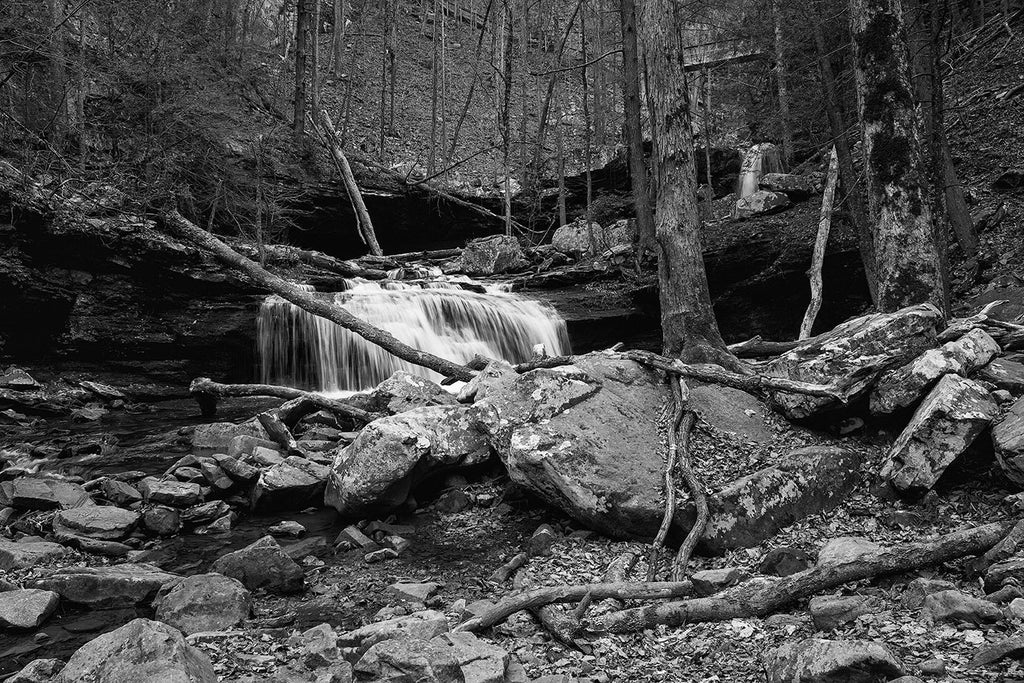 Black and white landscape photograph of a waterfall on Daniel Creek, deep in the bottom of Cloudland Canyon, Georgia.