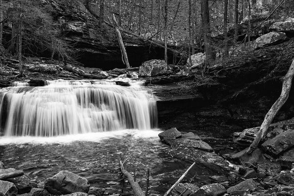 Black and white landscape photograph of a waterfall on Daniel Creek in the dark forest at the bottom of Cloudland Canyon.