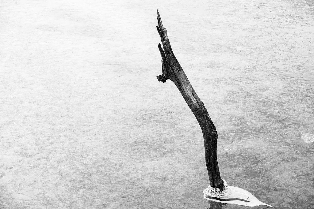 Black and white landscape photograph of a dark, broken tree sticking out of a solid sheet of textured white pond ice.