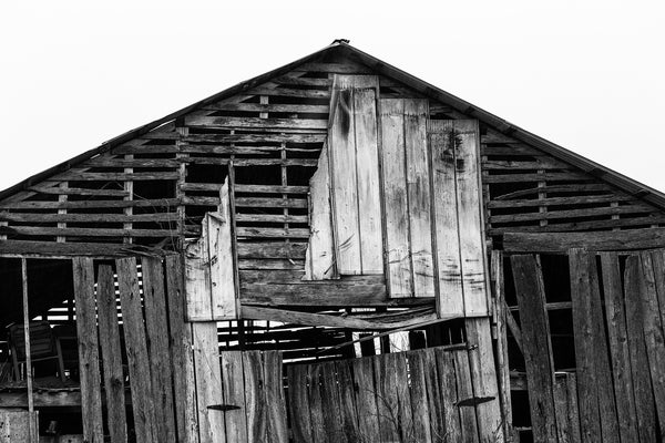 Black and white photograph of an old wooden barn with boards missing to reveal old chairs stored in the hay loft.