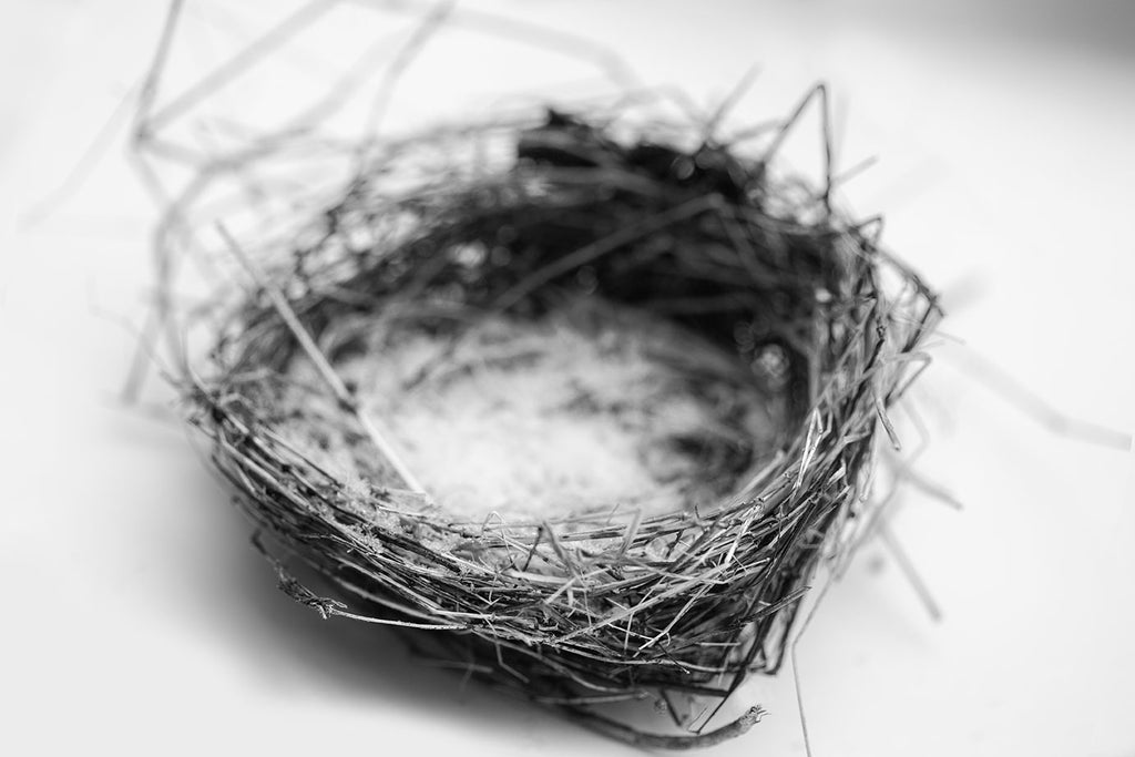 Black and white photograph of a bird's nest in the snow