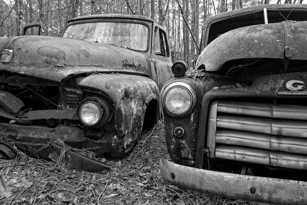 Black and white fine art photograph of two classic antique trucks rusting away side by side in the forest.