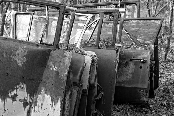 Black and white fine art photograph of nine rusty doors from antique, classic American cars, stacked upright in a forest that was once a junkyard.