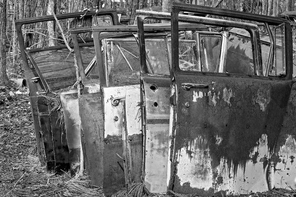 Black and white fine art photograph of a row of rusty doors from antique, classic American cars, stacked upright in a forest that was once a junkyard.