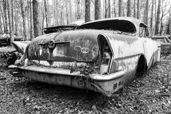 Black and white fine art photograph of a classic American car seen from the back as it's rusting in the forest but still displaying an old AAA sticker.