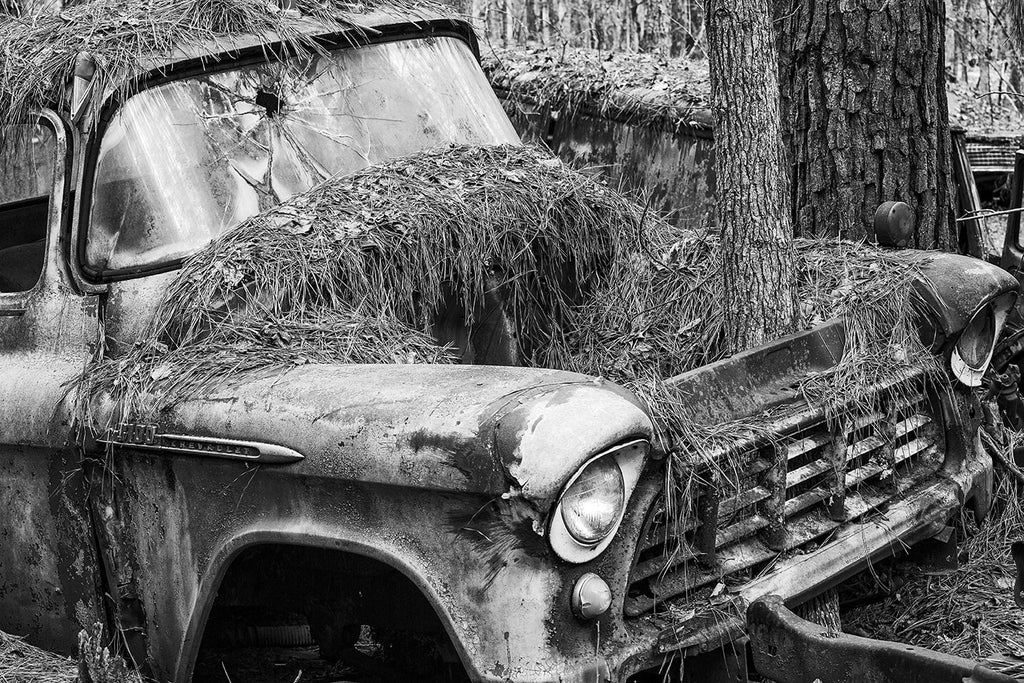 Black and white fine art photograph of a vintage American pickup truck abandoned in the woods with a pine tree growing through its engine compartment.