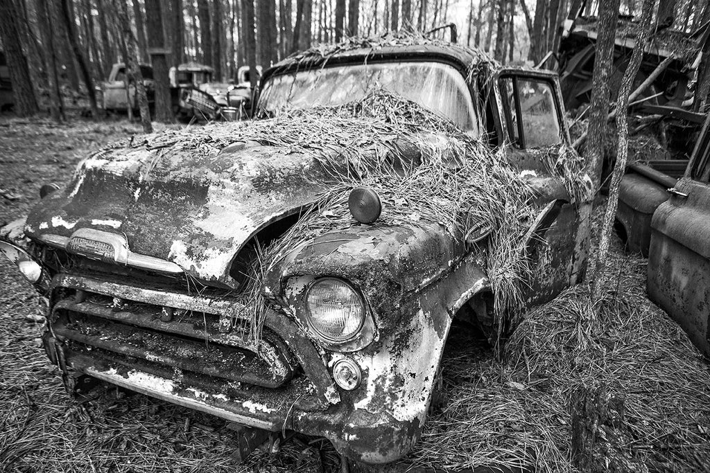 Black and white fine art photograph of a classic antique Chevy pickup truck rusting away in a pine forest and covered with pine straw.