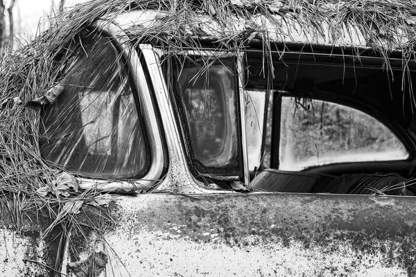 Black and white fine art photograph of a rusty 1950s classic American car abandoned in the woods and covered in pine straw.