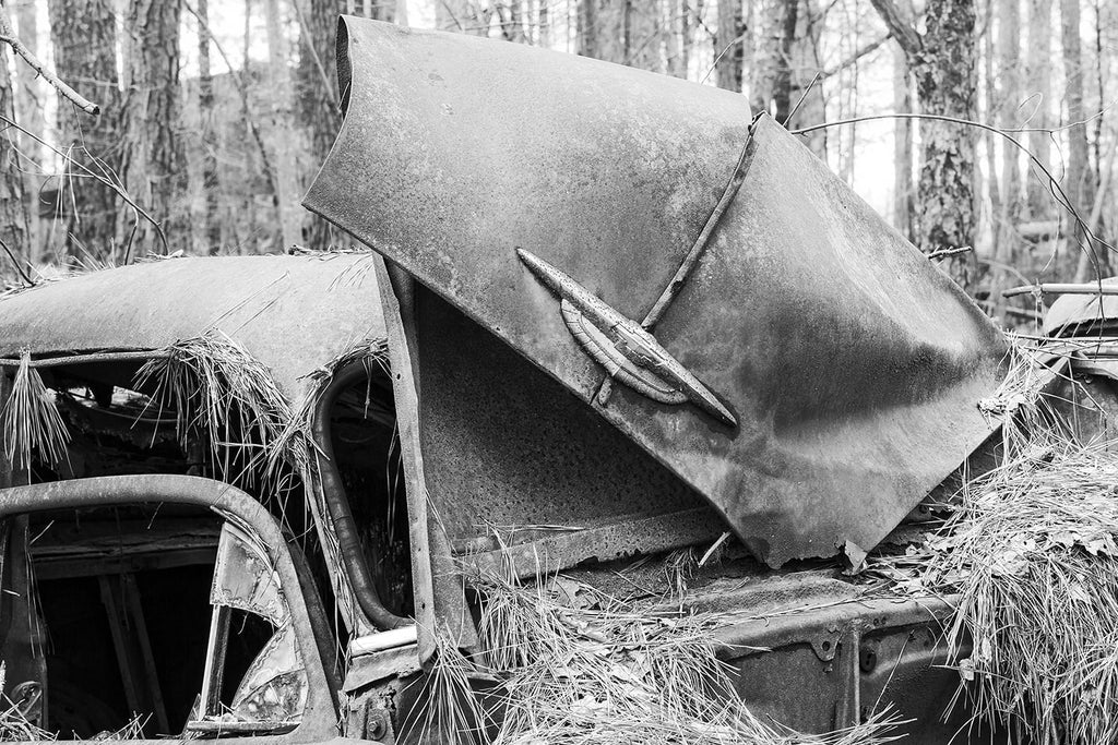 Black and white fine art photograph of a wrecked and rusty antique Chevy car covered in pine straw in the woods.