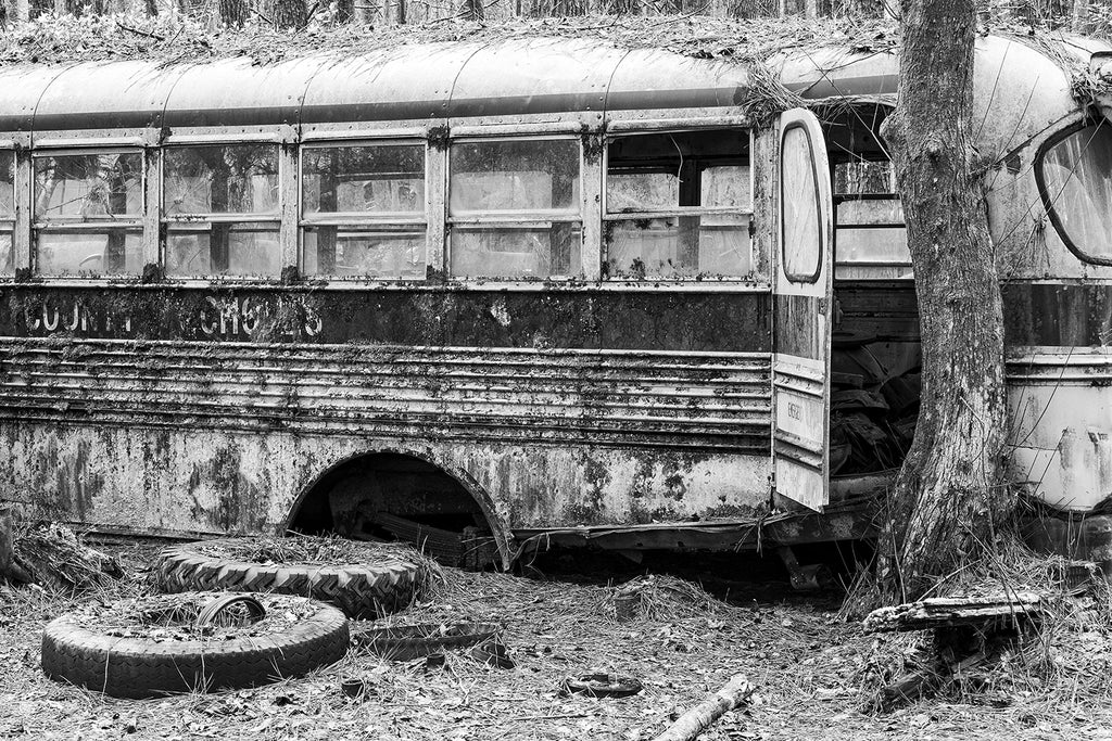 Black and white fine art photograph of a crusty, abandoned yellow school bus abandoned in the forest.