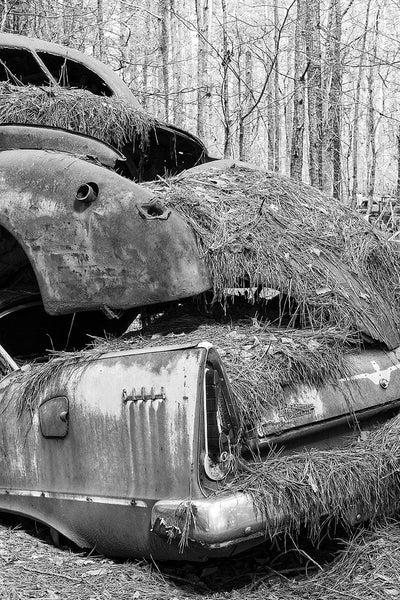 Black and white photograph of two rusty classic American cars piled on top of each other in the woods.