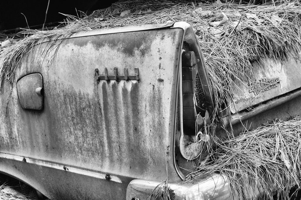 Black and white fine art detail photograph of the tail fin of a rusty, junked classic American car in the woods. The side of the car features a stylized logo that says "Savoy."