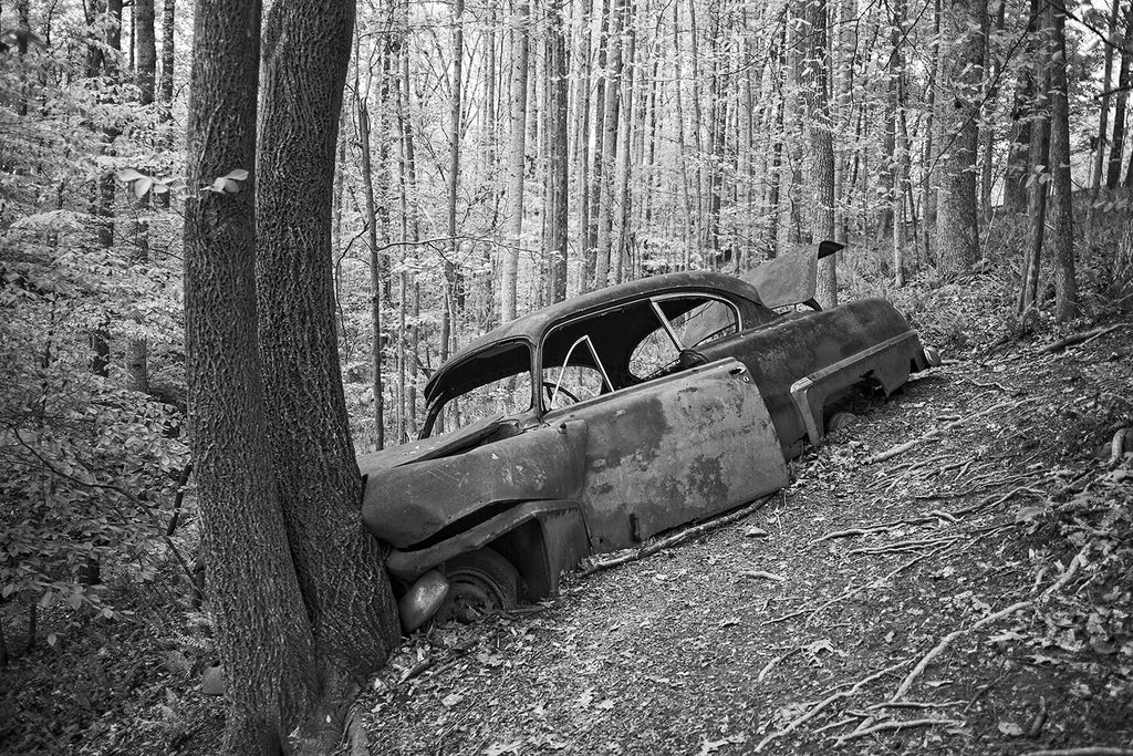 Black and white fine art photograph of a wrecked and abandoned classic American car that had been driven down a steep hill into a tree, possibly up to 70 years ago. There's no longer even a road at the top of the hill.