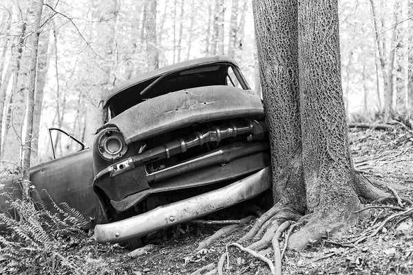Black and white photograph of a wrecked and abandoned classic American car found in the forest.