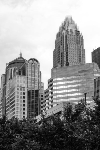 Black and white photograph of tall buildings in Charlotte, North Carolina as seen from downtown's Romare Bearden Park.