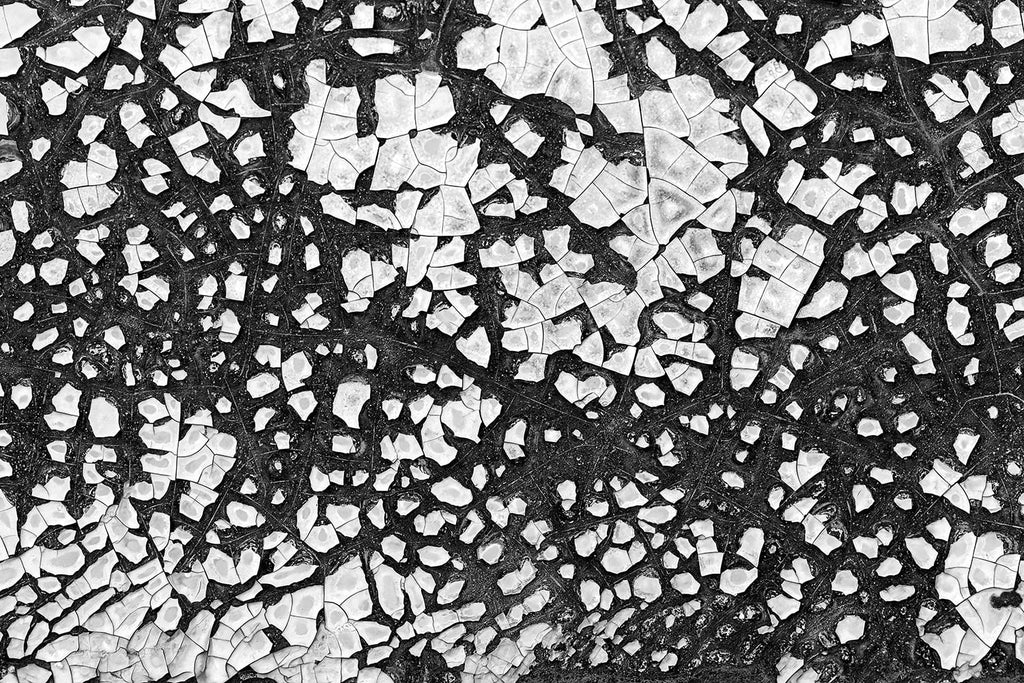 Black and white abstraction photograph of chipped paint patterns on the rusty metal side of an abandoned antique railroad car.
