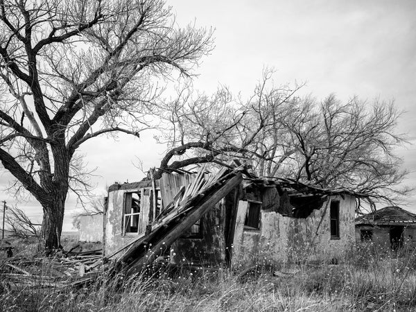 Black and white photograph of a collapsing adobe building found among a grove of cottonwoods along old Route 66 in Glenrio, New Mexico, just steps away from the Texas state line.