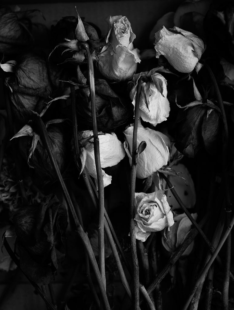 Black and white photograph of a box filled with wrinkled old red and white roses made with a medium format camera in natural light.