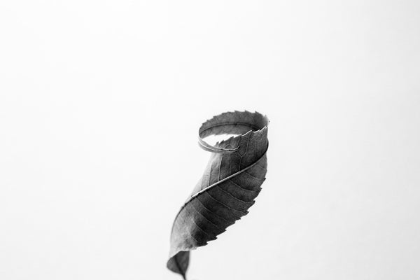 Black and white macro photograph of a single tiny curved leaf against a simple white background.