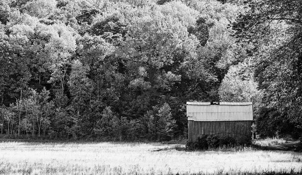 Black and white photograph of a rural landscape of trees and farm fields featuring an old wooden barn