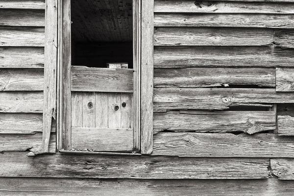 Selenium toned black and white photograph of the side of an abandoned house featuring an extraordinary amount of detail in the grain of the weathered wood.  This is an actual darkroom-style print on silver gelatin fiber-based paper, which has then been chemically toned with a 1:9 selenium toning solution. Selenium toning subtly alters the color and tones of the black and white print, and also adds to the overall longevity by making it more archivally stable.