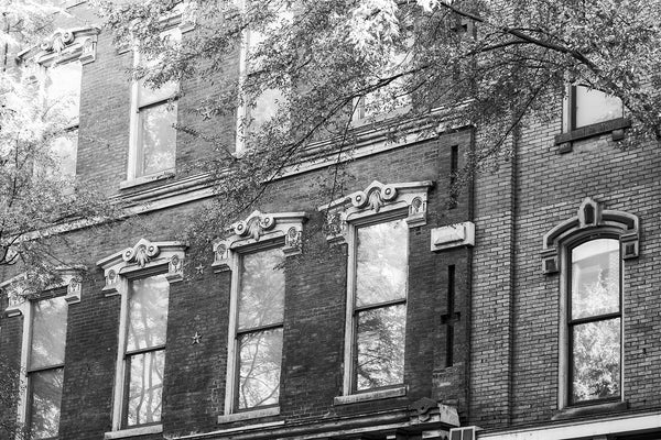 Black and white photograph of leafy trees and historic windows along Nashville's 2nd Avenue entertainment district. Most of these buildings were built between 1870 and 1890, when the street was called Market Street. The buildings were originally warehouses and retail shops selling goods transported in from the nearby Cumberland River.